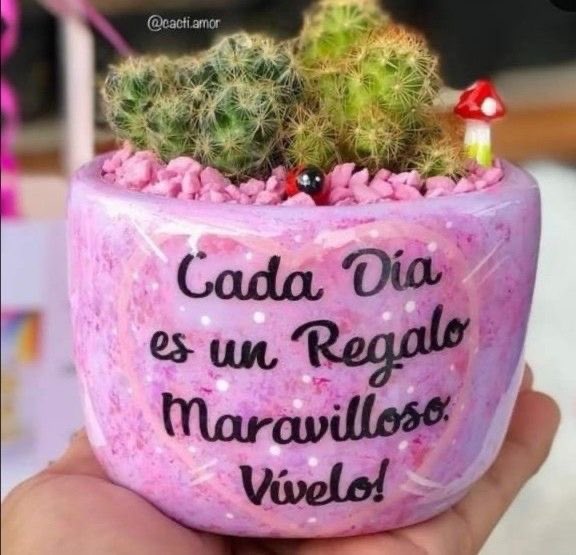 cito_ramon's tweet photo. @beatriz_ani Buenos días 🌞☀️ mi Corazón ♥️ https://t.co/F3zspw9Ncx