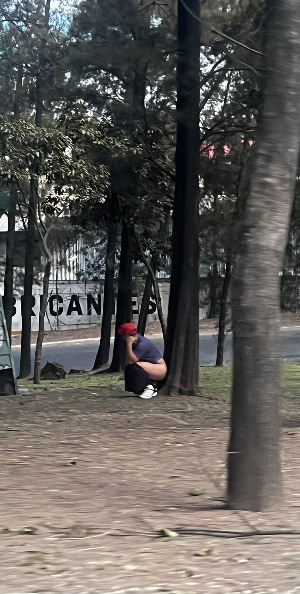 rodrizzbro's tweet photo. hermano realmente es un tio chill de cojones🤙 https://t.co/YIBMpk0CPW