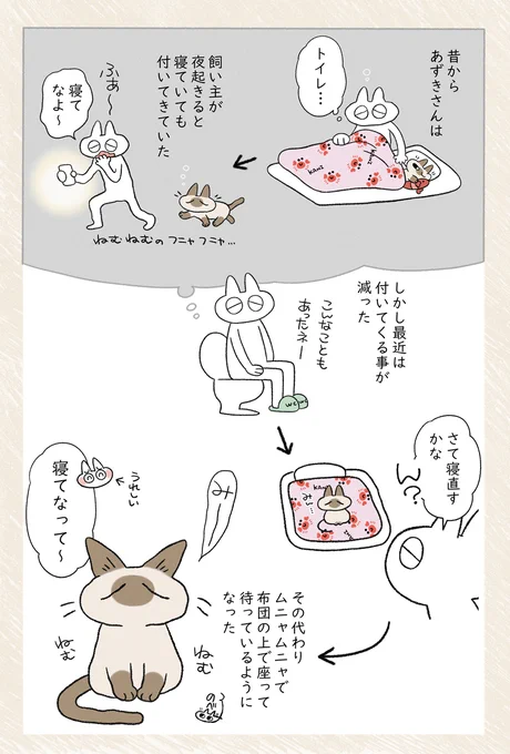寝てなよ～ #シャム猫あずきさんは世界の中心 