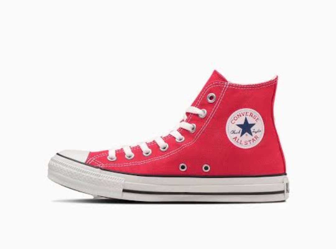 わんちゃんコンバースで代用できる?? 