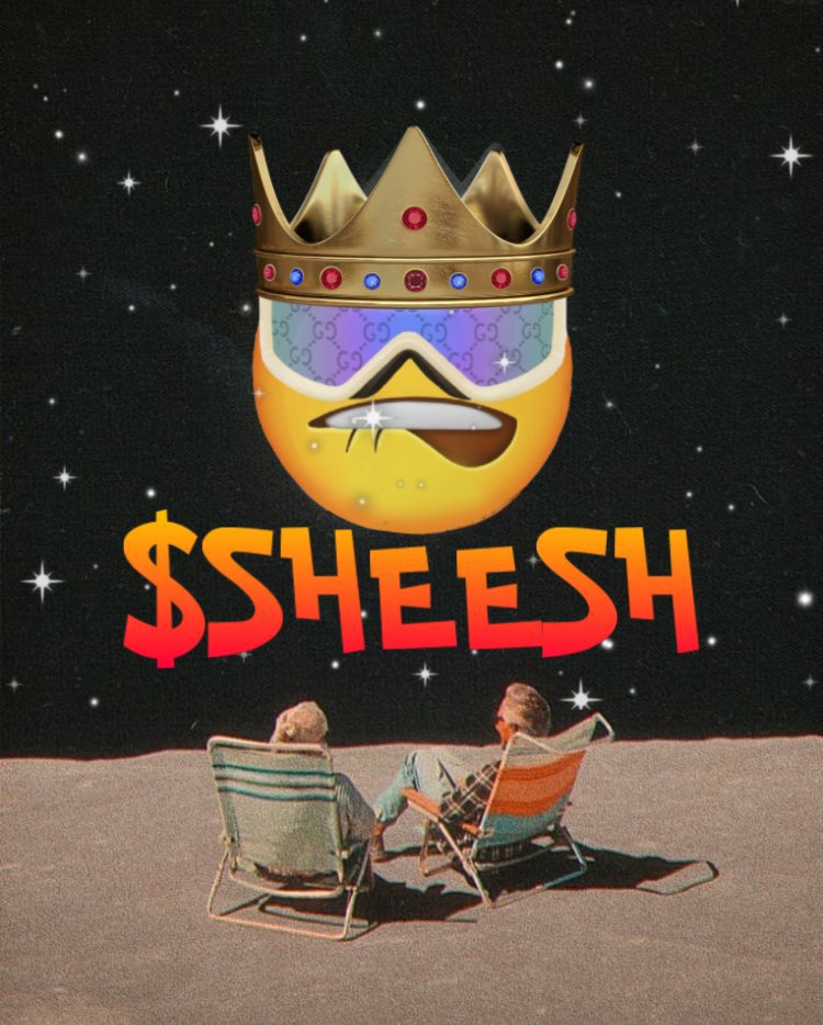 SheeshMemeCoin's tweet photo. @SnottyNapkins SHEEEEESH snotty knows the market 

Send all memes turbo https://t.co/nMzHHXDlBz