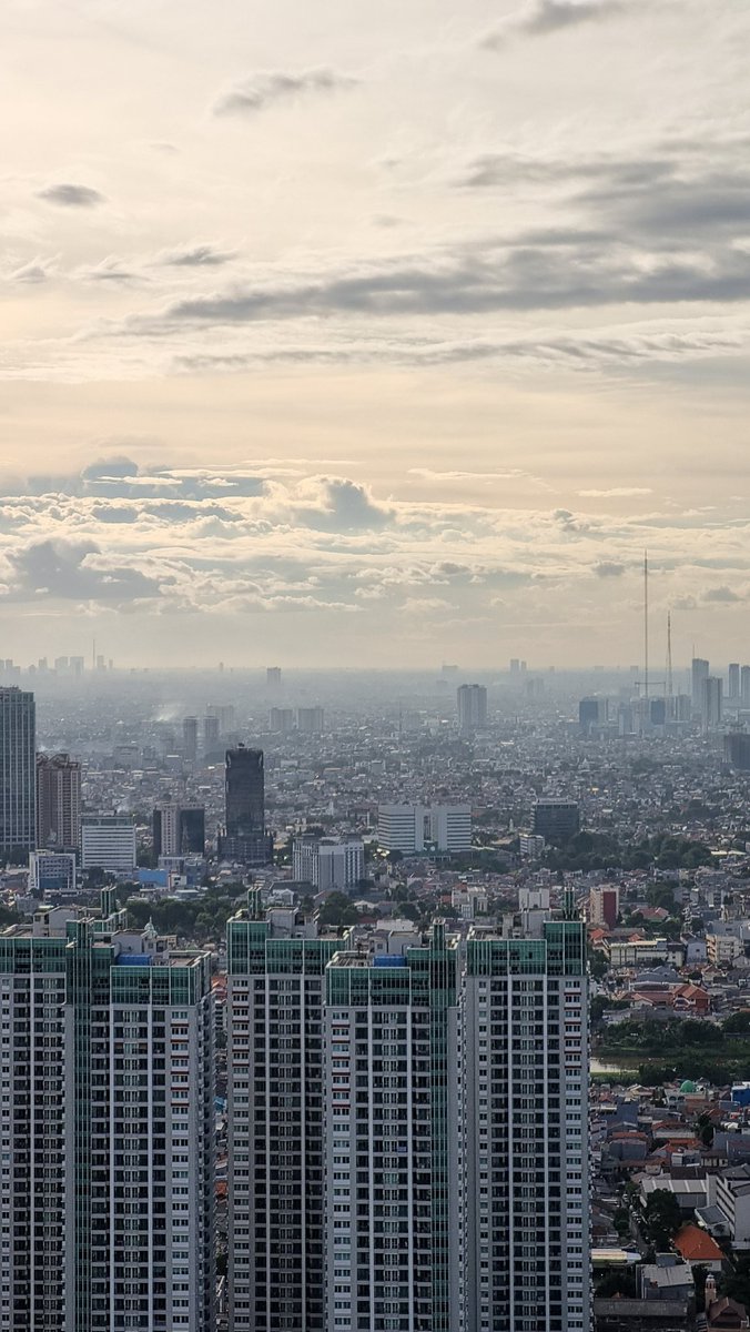 Sari ♒️ tweet media