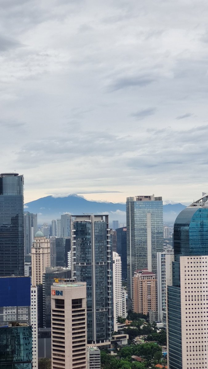 Sari ♒️ tweet media