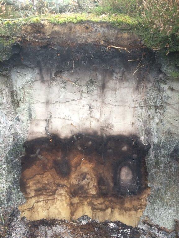 Happy #WorldSoilDay 2024! Soils are diverse and beautifully colorful!