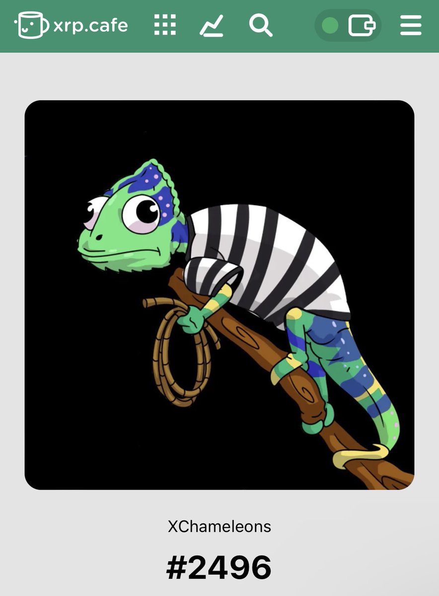 🦜XParrots / XRPL tweet media