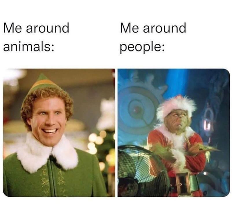 VictoriaVets_'s tweet image. I can't be the only one feeling this way, right? 😂
#animals #people #relatemuch