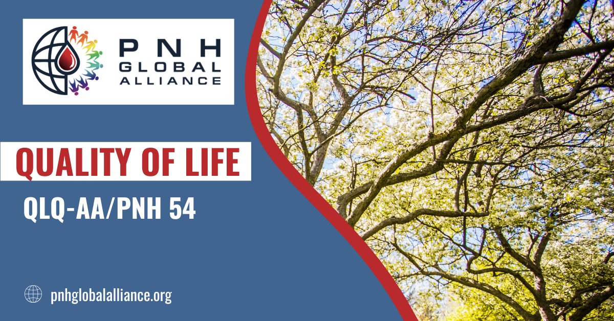 🌍 At PNH Global Alliance, we are committed to ensuring quality of life for PNH patients is truly measured. Tools like the QLQ-AA/PNH 54 go beyond hemoglobin levels, assessing fatigue, focus, and well-being.

📄 Read more: pnhglobalalliance.org/wp-content/upl…
🎥 Watch: youtu.be/U2NpQLnBKSI