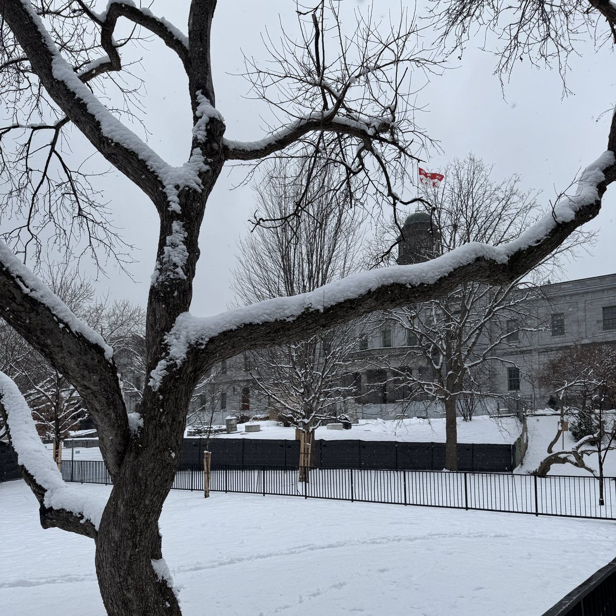 Delighted to be spending a few weeks in the warm company of <a href="/excubs/">Juliet Johnson</a> and <a href="/PopovaProf/">Maria Popova 🇨🇦</a> as a Visiting PhD Candidate at <a href="/McGillPoliSci/">McGill Poli Sci</a> and <a href="/JMCMontreal/">Jean Monnet Montréal</a> ❄️