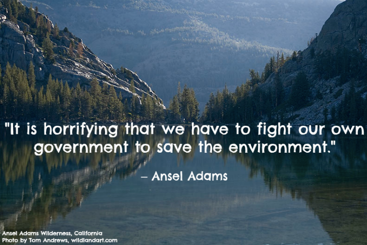 Sad to say, this quote never gets old.