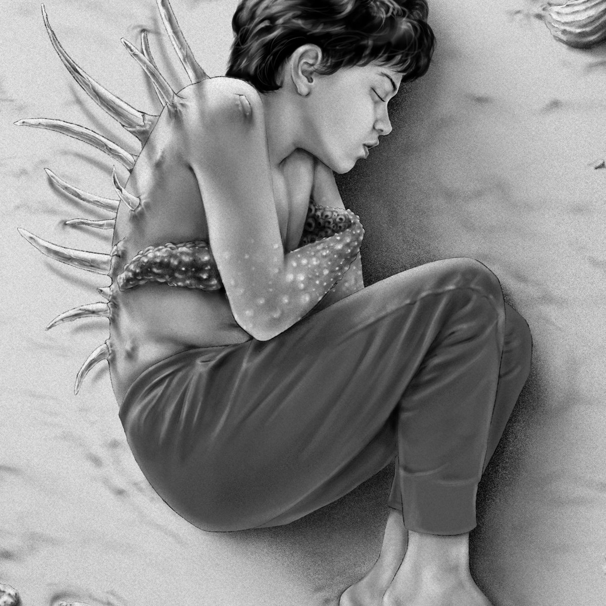 windusepta tweet media