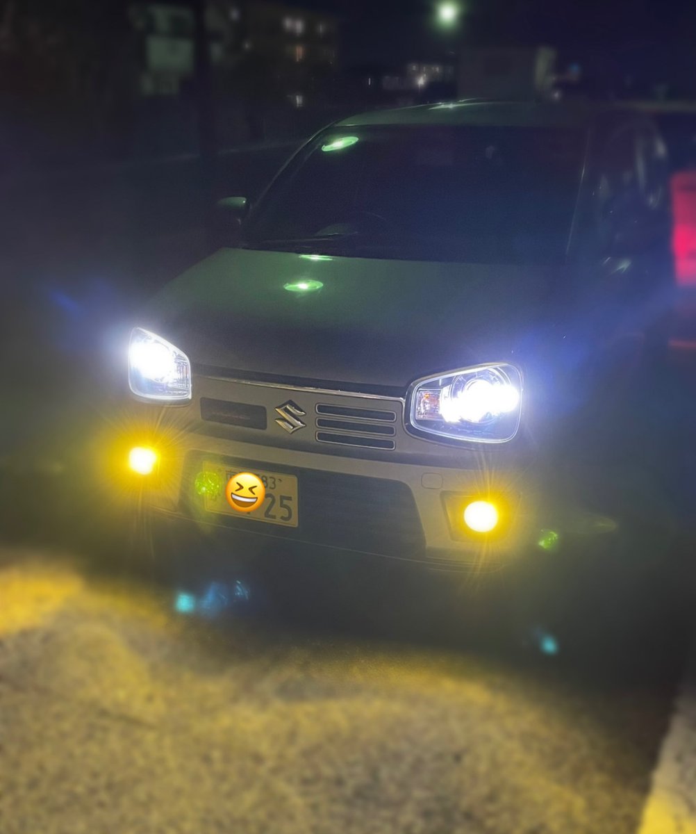 わたもん🦐 tweet media