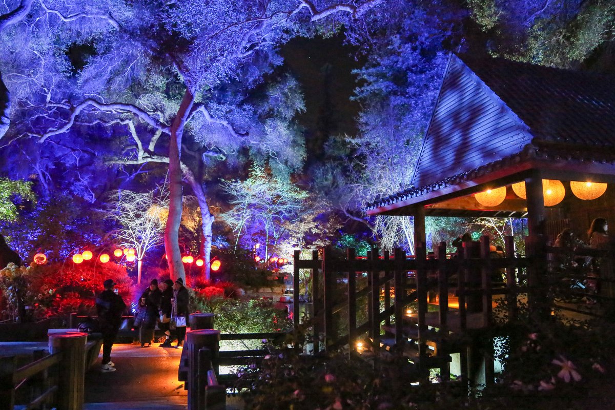Our luminous winter light show is in full swing, and weekend tickets are selling out. 

Enchanted Forest of Light is open now through Jan. 5, 5:30–10pm. Tickets must be purchased in advance, remaining tickets can be purchased on our website at descansogardens.org/enchanted