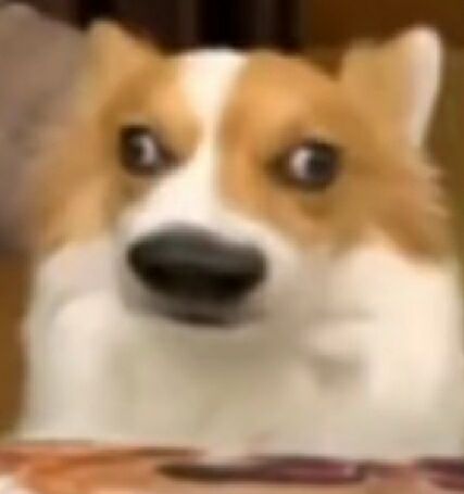 上学的时候等放假，放假了又不知道干什么，就打游戏，浑浑噩噩的，我才17，我不想要变成阴暗死肥宅，我也想有光明美好的未来，有美丽的女孩喜欢我😭😭😭