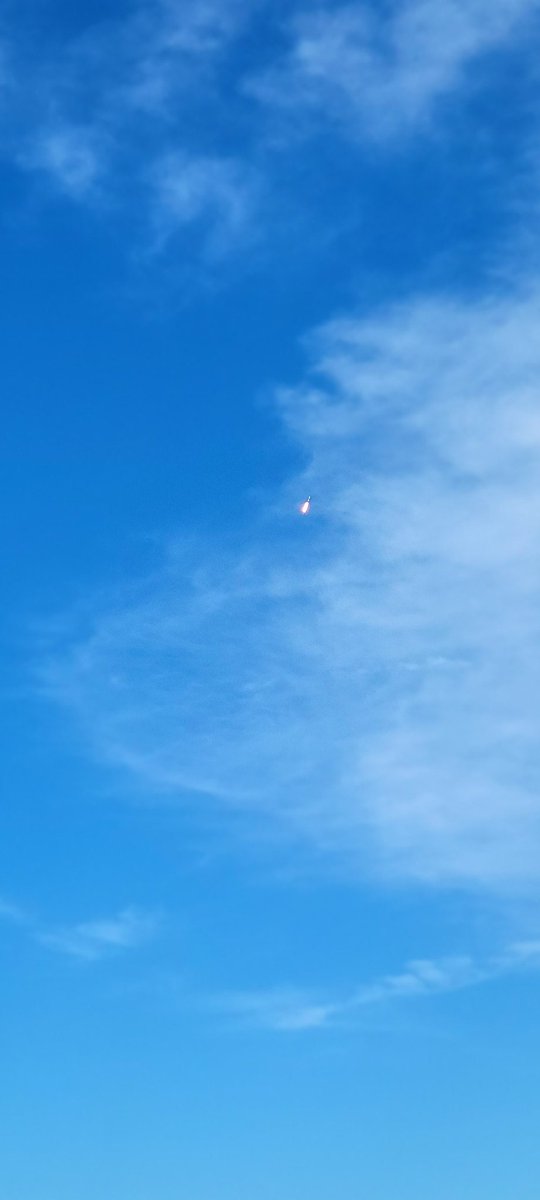 RustysInThePort's tweet photo. Liftoff!! Picture perfect morning for a launch today... at Rusty's at the Port!! πππ°ππΈπ πΉ #launchshift #decklifeΒ #rustysfam #rustysseafood #portcanaveral https://t.co/4z0EMiuP2P