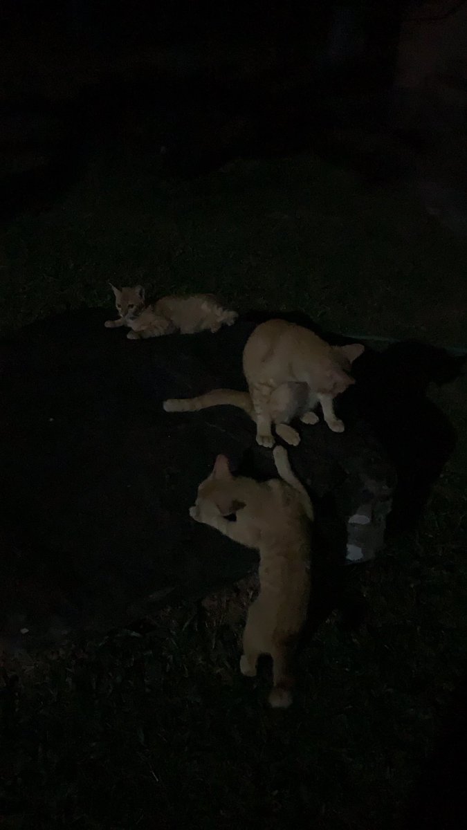 away (@leeppopsicle) on Twitter photo 