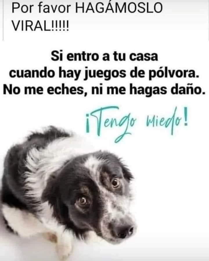 Mayú Guillén 🇲🇽🇺🇦 (@mayumiguillen) on Twitter photo 