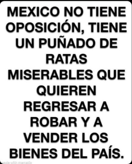 JuanAntonioCot8's tweet photo. @ClaudioXGG @lopezobrador_ @Claudiashein Ajá....que te crea tu abuela corrupto 💩🤢🤢🤮🤮🤮 https://t.co/MeQ3zpweFL