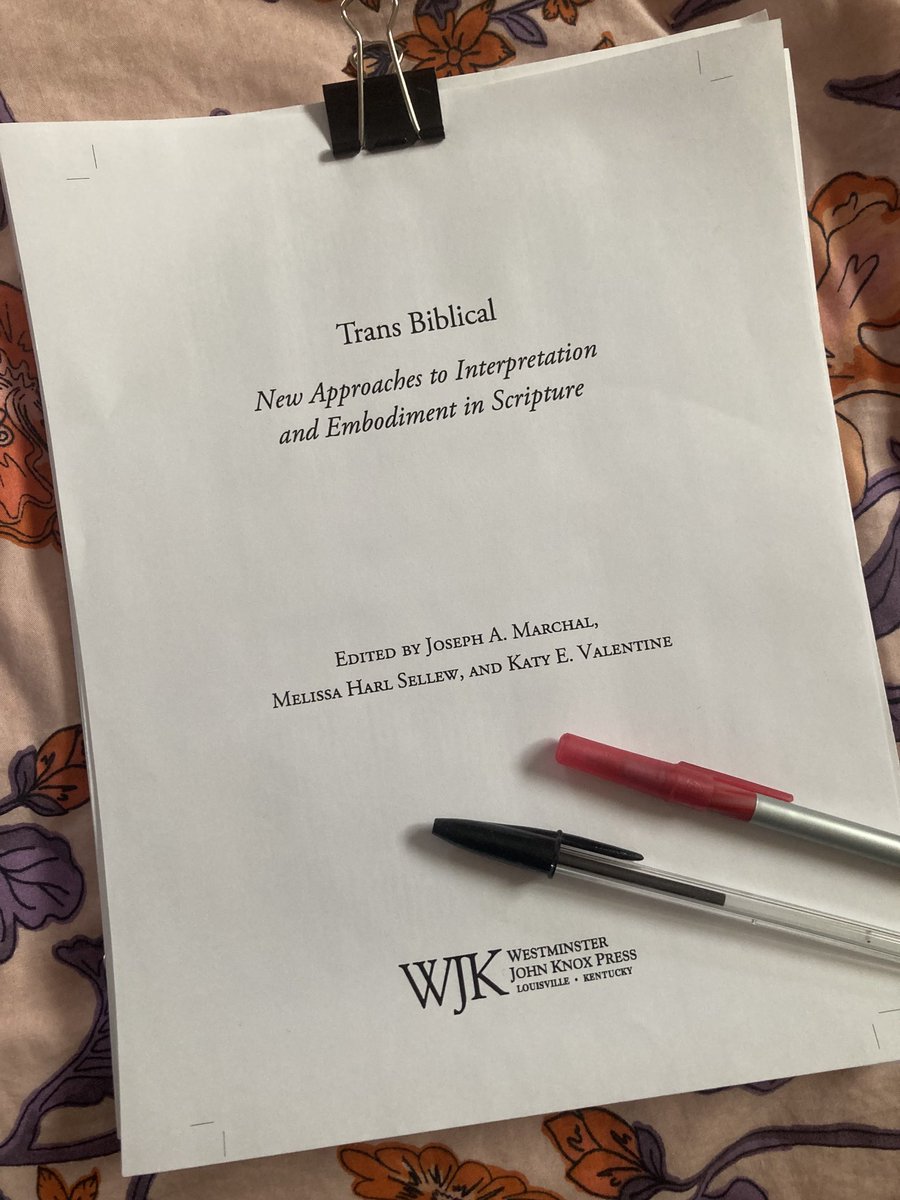 What a time to be receiving these proofs…
Trans Biblical — coming soon from Westminster John Knox Press ⁦@wjkbooks⁩