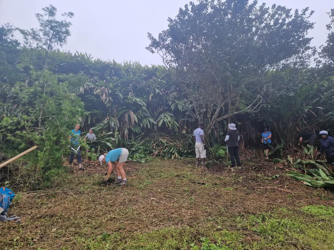 Ascension Conservation tweet media