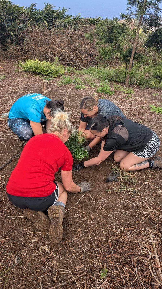 Ascension Conservation tweet media