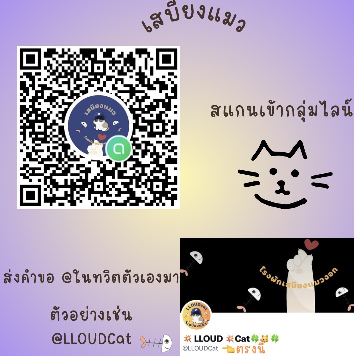 💥โรงพักเสบียงแมว💥🐈 tweet media