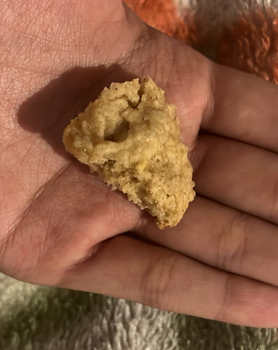 yummyyumzero's tweet photo. Breakfast is smelling this piece of cookie https://t.co/LOrKtWR8qu