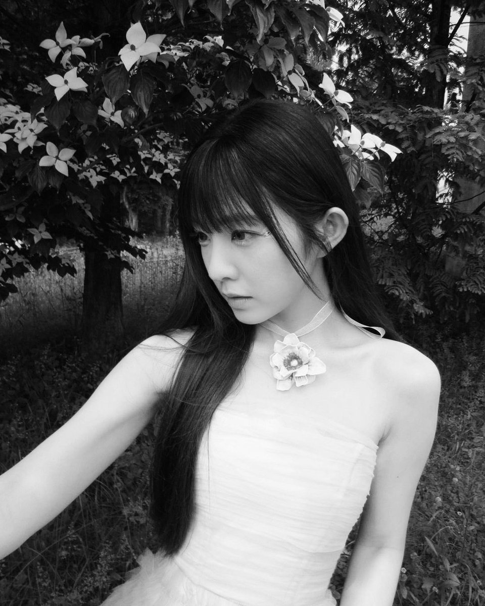 两种风格，一种故事：色彩斑斓的明亮与经典永恒的黑白.