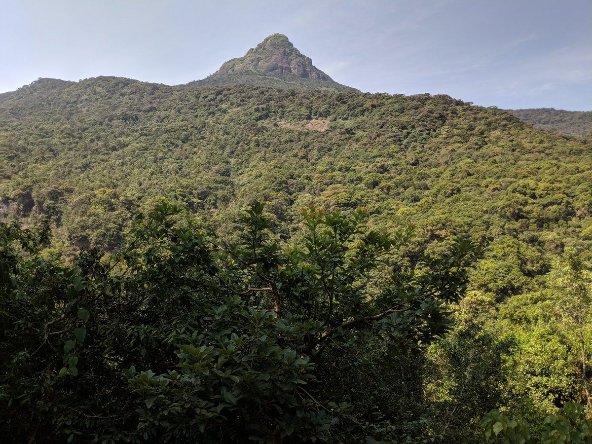 loveandpeaceIN's tweet photo. The rising sun from Adamβs peak, Sri Lanka. The 7km trek to peak was worth for this epic view.
#risingsun #sunrise #SriLanka #DMK #trek #adamspeak #sripada https://t.co/OraeqLl8PM