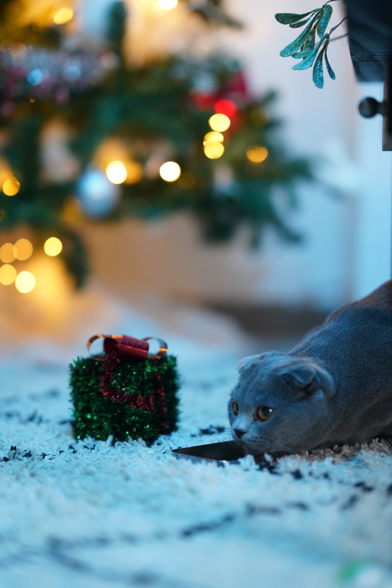 tavumarie's tweet photo. CHALENDRIER de l’avent jour 5 :
Proto de Noël https://t.co/faBD61XMbP
