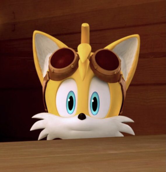 Dailytailspics's tweet photo. https://t.co/AWbNYTSUEE