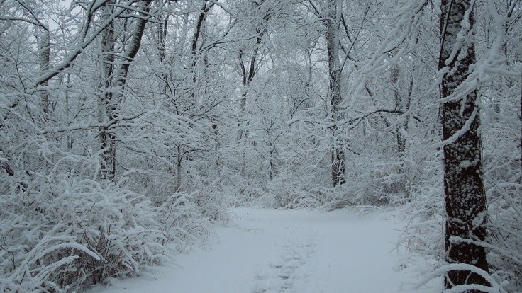 elemmiressoul's tweet photo. land of snow. https://t.co/5N1DcA2kdr