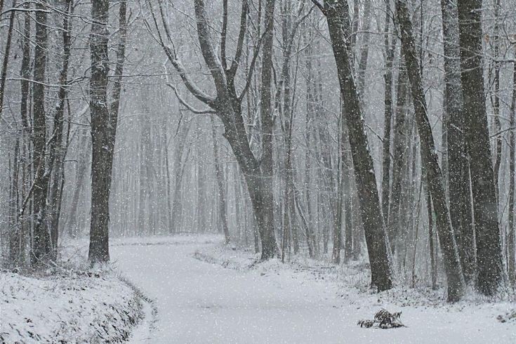 elemmiressoul's tweet photo. land of snow. https://t.co/5N1DcA2kdr