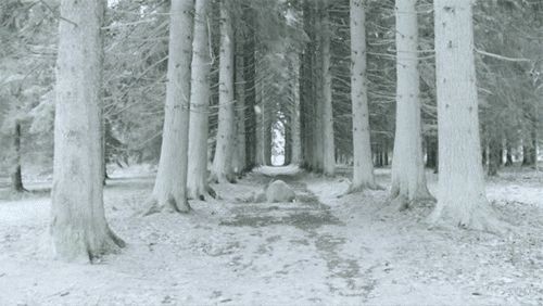 elemmiressoul's tweet photo. land of snow. https://t.co/5N1DcA2kdr