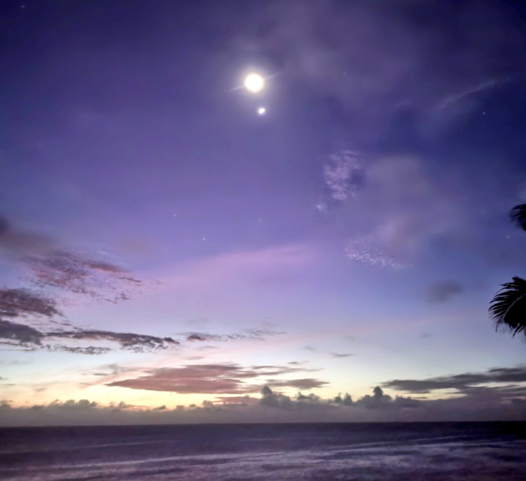 SarahScarpetta's tweet photo. @1pcornwell Well that's definitely hands on research and plain old good fun
I was thinking about all those UFPs in #IdentityUnknown & I thought I saw one last night under the moon 🛸👽 but I relooked & I think it's the spacestation. For a minute there I was thinking.... https://t.co/Xit9seSbrq