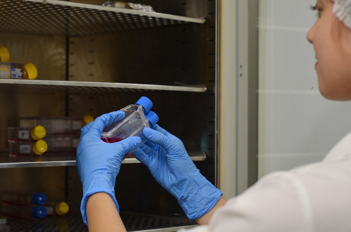 Rede de laboratórios da UFRGS vai receber R$ 9,4 milhões de edital da Finep. A SHUMA é formada por 10 laboratórios de pesquisa, ensino e extensão. Proposta nasceu justamente para concorrer a esse edital
tinyurl.com/bdhh2s7s
Foto: Rochele Zandavalli/UFRGS