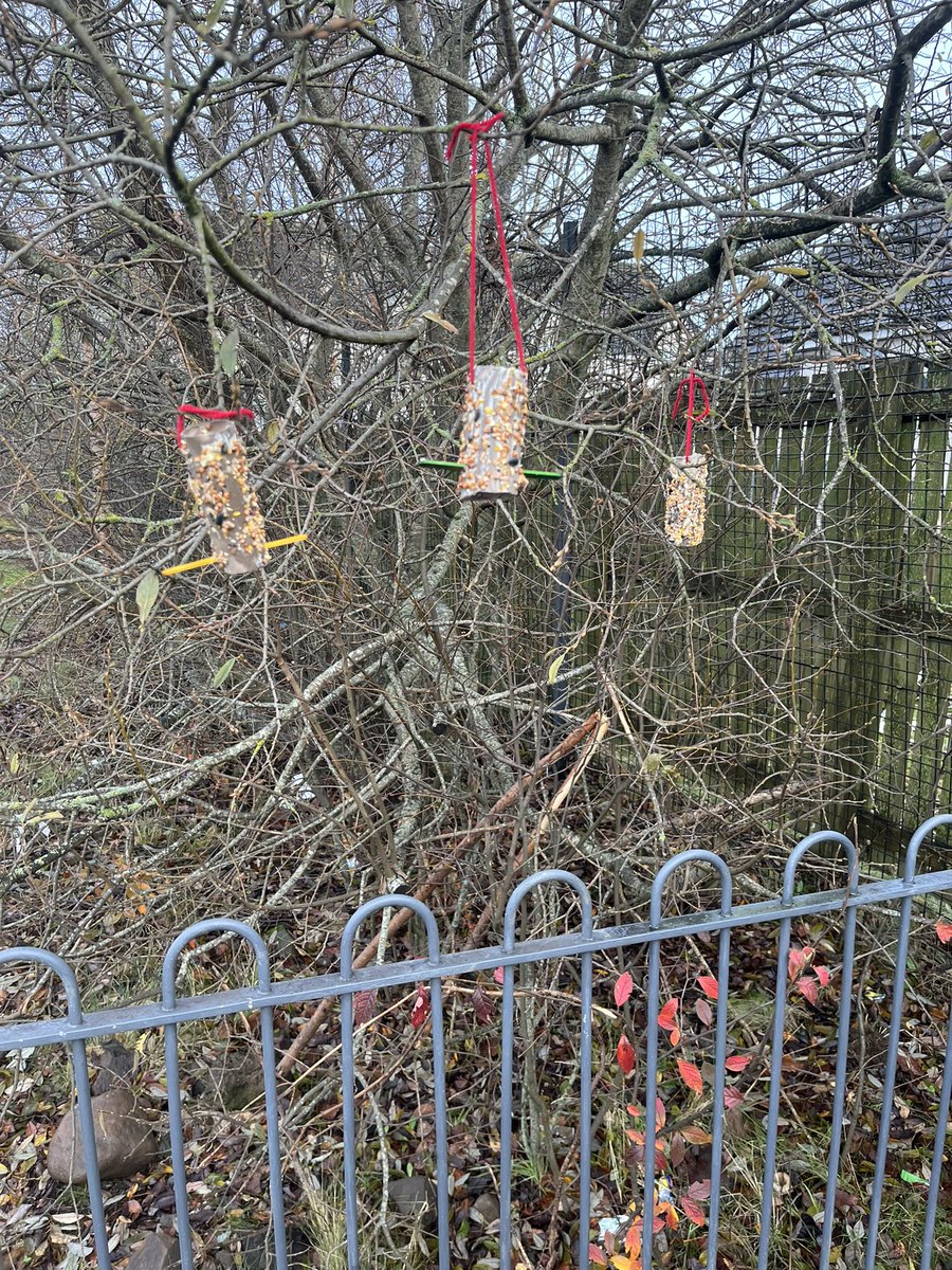 This week we made bird feeders to help look after the birds who visit our school garden. 🐦 🌱 <a href="/SimpsonPrimary/">Simpson Primary</a>