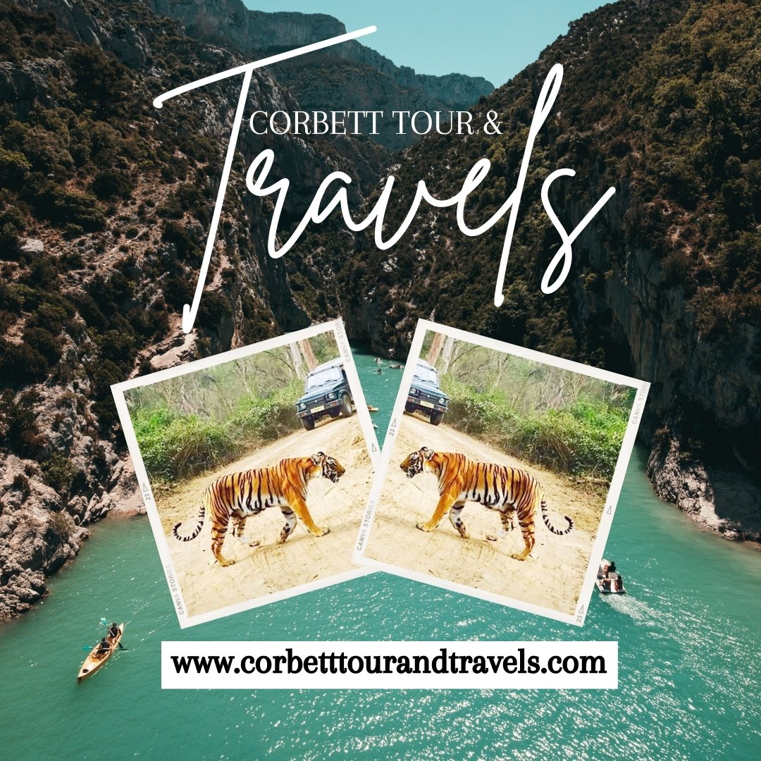 Corbett Tour & Travels (@corbetttouruk) / Posts / X