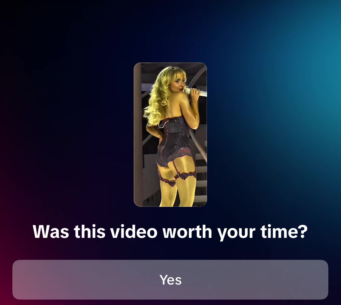 stop asking dumb questions