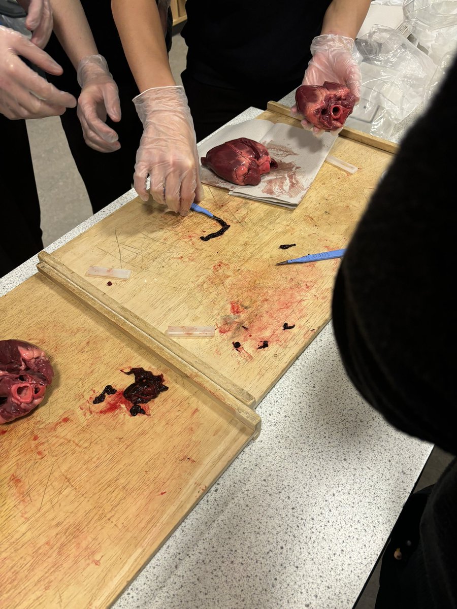 Miss McColm tweet media