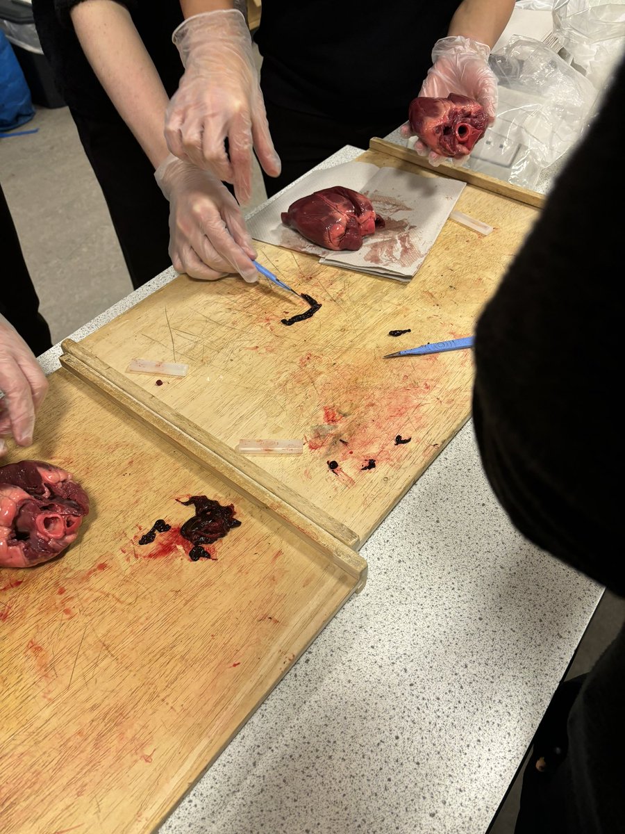 Miss McColm tweet media