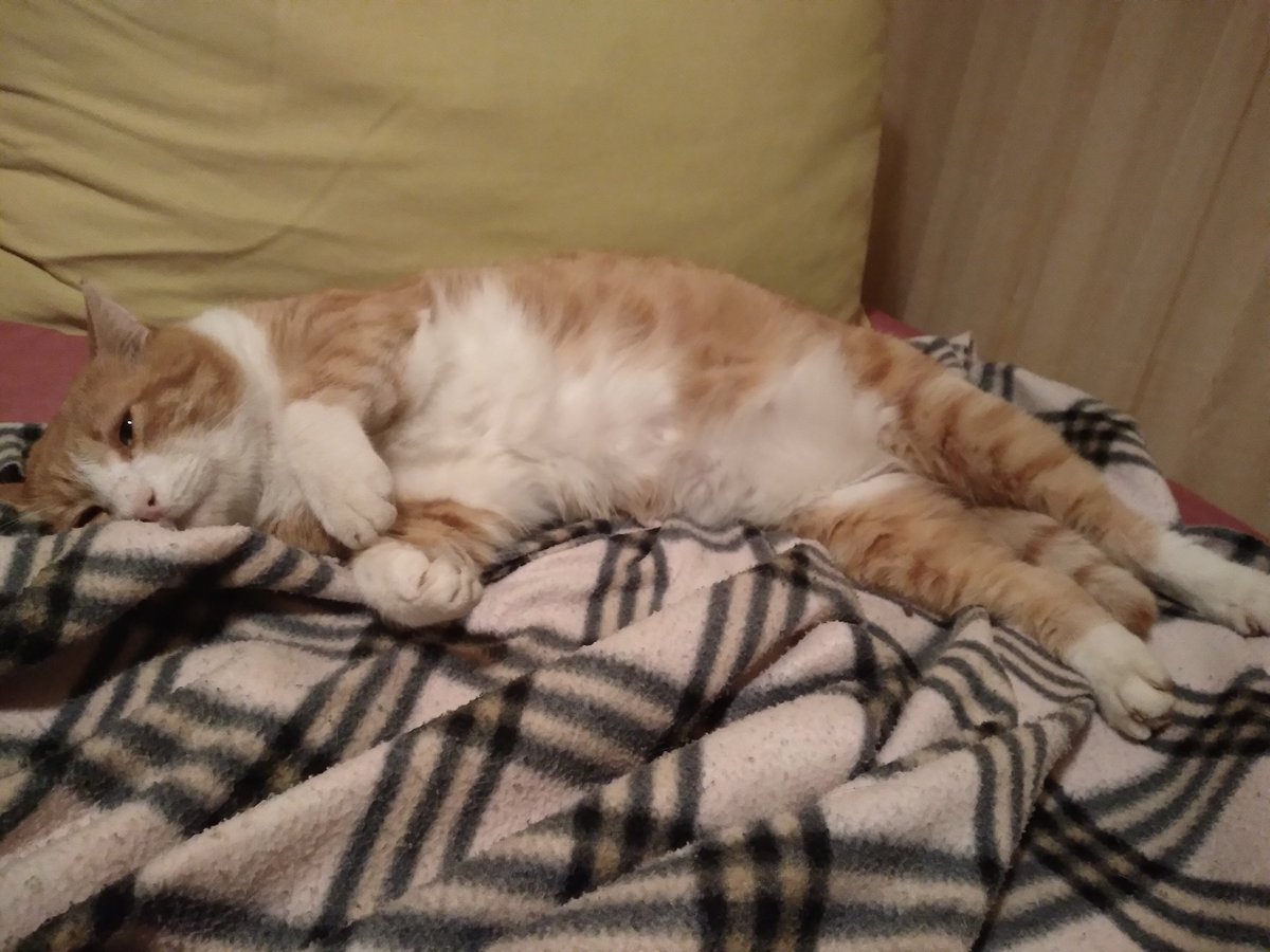 I love my big fat little baby so much 🤧