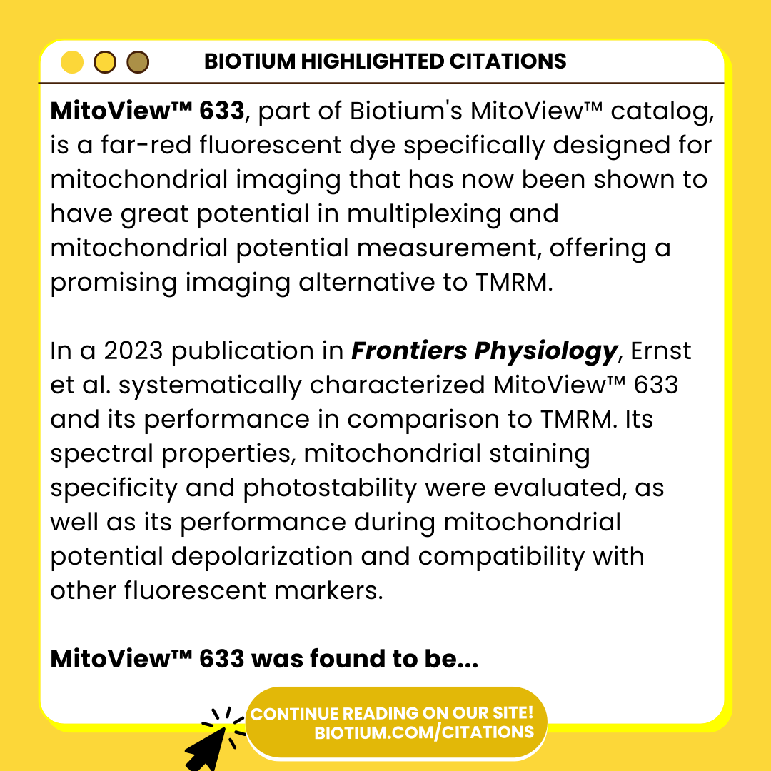 biotium's tweet photo. 📚✨ Hot off the Press: Read how our MitoView™ 633 was studied in this publication from Frontiers Physiology!

Read here: https://t.co/8UjvurLtMj

#mitochondria #sciencearticle #scienceread #sciencepublication #fluorescentdye #sciencecompany #frontiersphysiology https://t.co/tkATxkO5qG