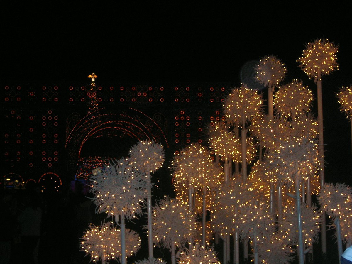 disneypicaday's tweet photo. If I had a time machine, I wouldn't go back and do anything silly like buying Microsoft and Apple stock. What I would do would be to take a LOT more pictures in my early years of going to #DisneyWorld, like of the #LightsOfWinter at #EPCOT https://t.co/1UfGbzD6NP