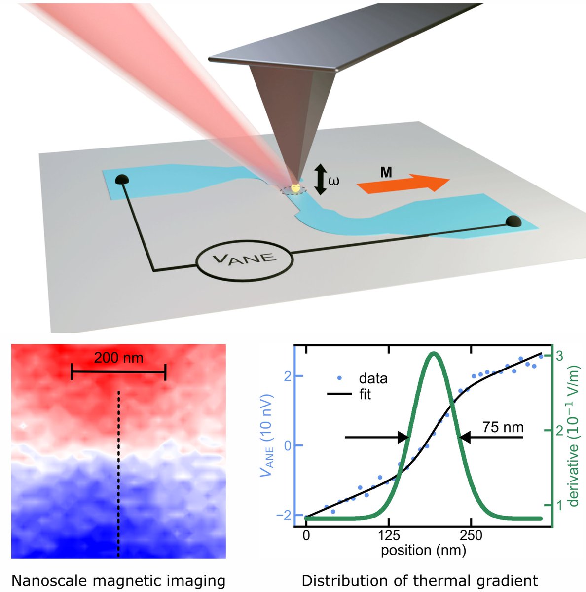 Prof_Atul's tweet photo. Happy to share my recent paper published in @acsnano 
We demonstrate that anomalous Nernst effect signal generated by optical near-field can study nanoscale magnetism. Both IP and OOP magnetic states of novel chiral antimagnetic materials can be probed.
https://t.co/jAtozAk5lg https://t.co/mz4v3M2YSU