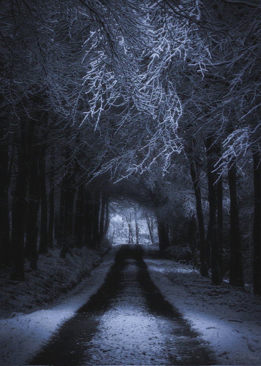 Woodlands transformed in the delicate morning light, one from last months snow storm.

#NaturePhotography #NatureBeauty #Winter #Ireland