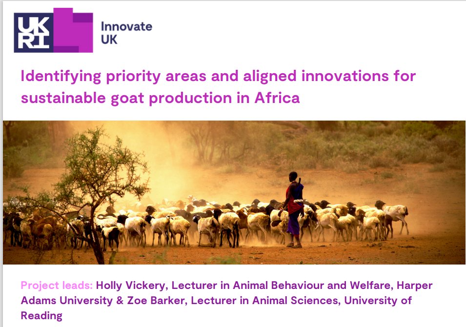 Dr Holly Vickery tweet media