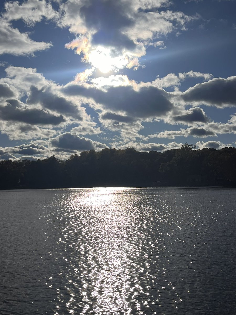 Mark Daly tweet media