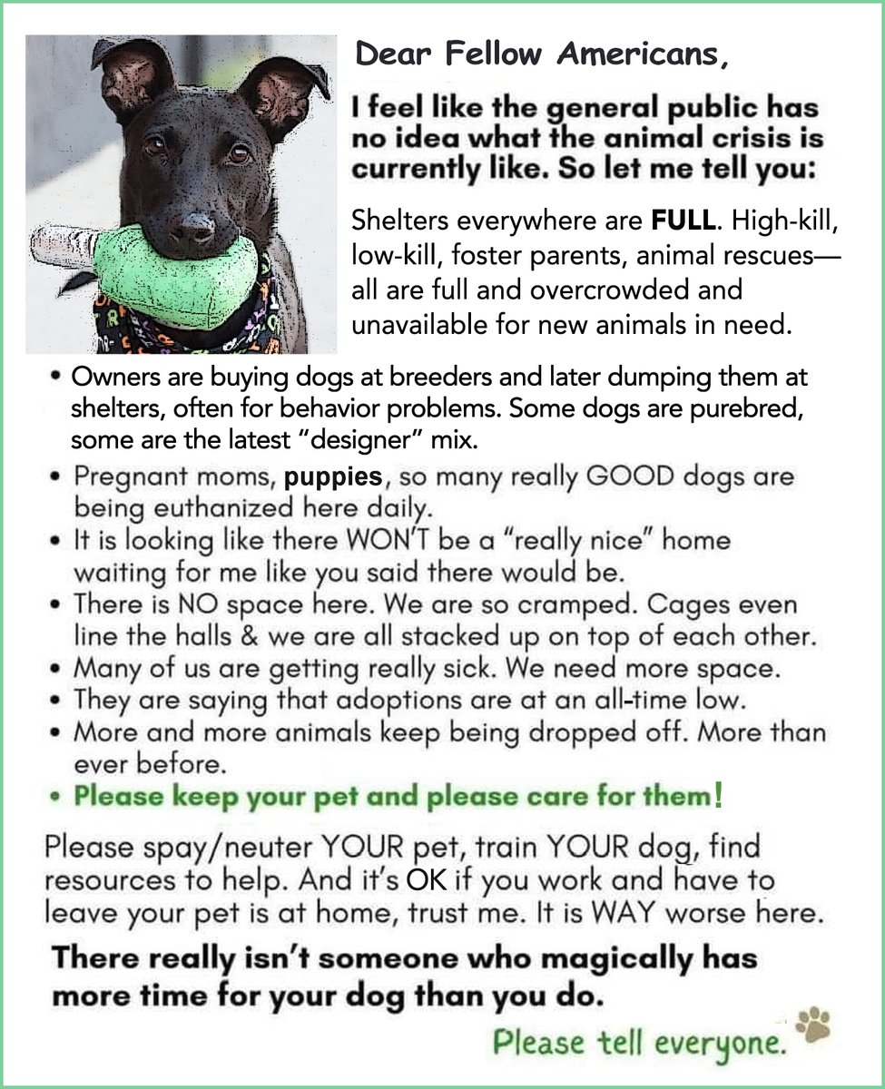 EASpenser's tweet photo. I've seen several versions of this statement all across the internets for a while now. PLS #Share
🐾#Spay/#Neuter your pets
🐾#BeResponsibleOwners: #DontAbandonYourPets 🐾#BanBackyardBreeding
🐾#ShelterPetsDay 🐾 Behind every shelter animal is a human who put them there https://t.co/HCZNdYQAF2