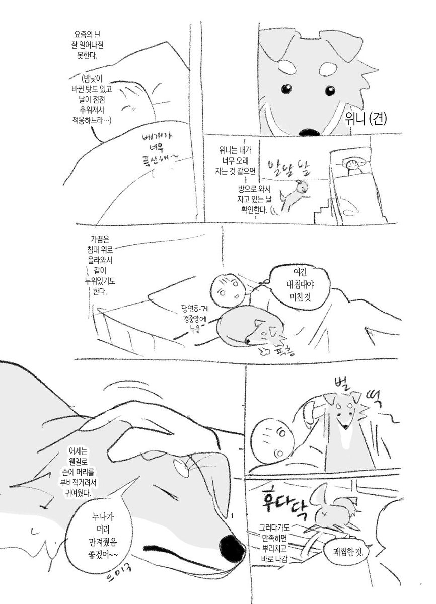 ˙* ˚요망。˚. (@yomang___) on Twitter photo 