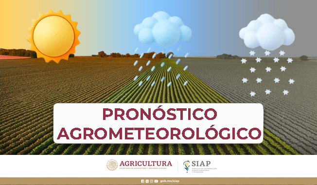 DGSIAP_Mx's tweet photo. #SIAPInforma:
El frente frio #13, se extenderá sobre el norte y noreste de #México, e interaccionará con un canal de baja presión, provocando #lluvias e intervalos de #chubascos en el área mencionada.
Consulta, esta y más información en: https://t.co/OrszaPchDs https://t.co/rHlmUhmH1D